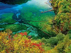 九寨溝 五花海