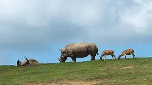 九州自然動物公園アフリカンサファリ
　　　　（2013年）