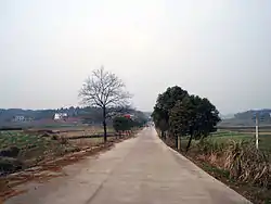 道林鎮の清石村の公路