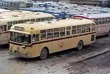 沖縄バスの729車(三菱車)。右側通行用である。