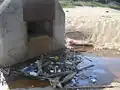 京都府島影の漂流物