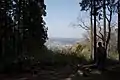 山頂からの眺め