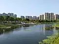 仙林湖