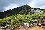 仙涯嶺山頂
