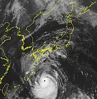 衛星画像 （9月17日9時）
