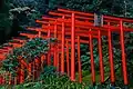 楓稲荷神社鳥居