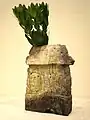 伊賀花入
