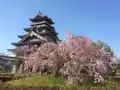 模擬天守と桜