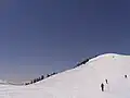 山頂付近