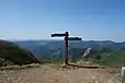 伯母子岳山頂