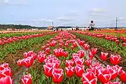 佐倉ふるさと広場