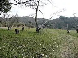 佐用城の本丸