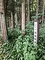 侍屋敷跡
