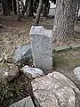 権現道 横1
