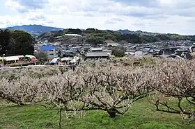 谷川梅林
