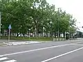 公園として活用されている広幅の中央分離帯(グリーンベルト、北海道函館市・市道豊川小路)