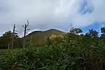 六合目付近からの武佐岳山頂部