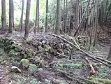 竹野鉱山に伴う石積み