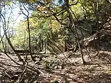竹野鉱山選鉱場跡と平坦面