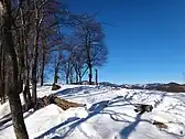 冬の岩茸石山