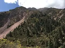 氷溝林海