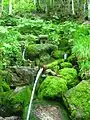 昭和村の銘水冷湖（ひゃっこ）の霊泉