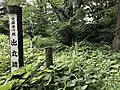 出丸跡