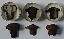 出土した鉄鋲（リベット）とボルト・ナット