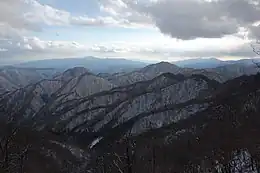 前大室からの畔ヶ丸(奥は箱根山と愛鷹山)