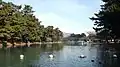 公園内の池