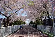 札幌恵庭自転車道線（白石こころーど）（2016年5月）