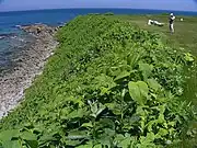 北見神威岬公園前の海岸