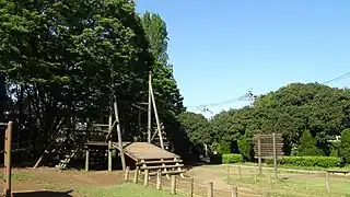 少年の森