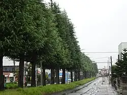 南光台南の街並み