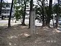 墳頂