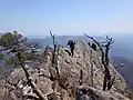 南尖峰