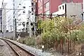 大阪市西成区山王1丁目（東横インあべの天王寺）付近（2010年）