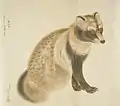 狸『博物館写生図』 中島仰山ほか・共作
