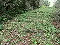 上町と下町を結ぶ石段（厳常寺坂）