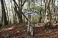 口千丈山