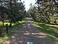 古志の松原内を通る富山県道375号富山朝日自転車道線