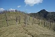 古田ノ森からの釈迦ヶ岳