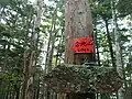合地山Ⅳ峰の山頂看板
