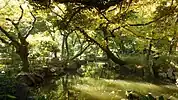 名主(なぬし)の滝