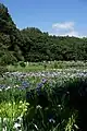 奥側より入口方向を望む
