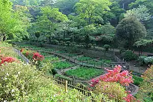 吾妻公園
