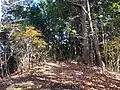 四等三角点のある410.4 m峰