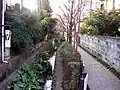 お鷹の道と野川。国分寺市。