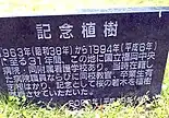 撮影者から庭花咲蝶舞が提供を受けた。撮影年月日2022年5月13日