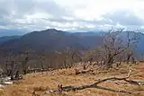 国見岳山頂直下の風景